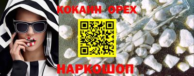 СК Новодвинск