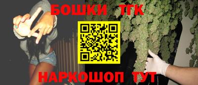 СК Новодвинск