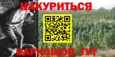 СК Новодвинск