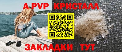 СК Новодвинск